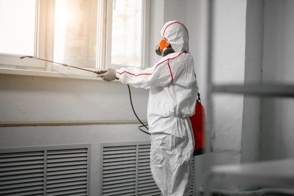 Professional mold remediation services in Williston, SC